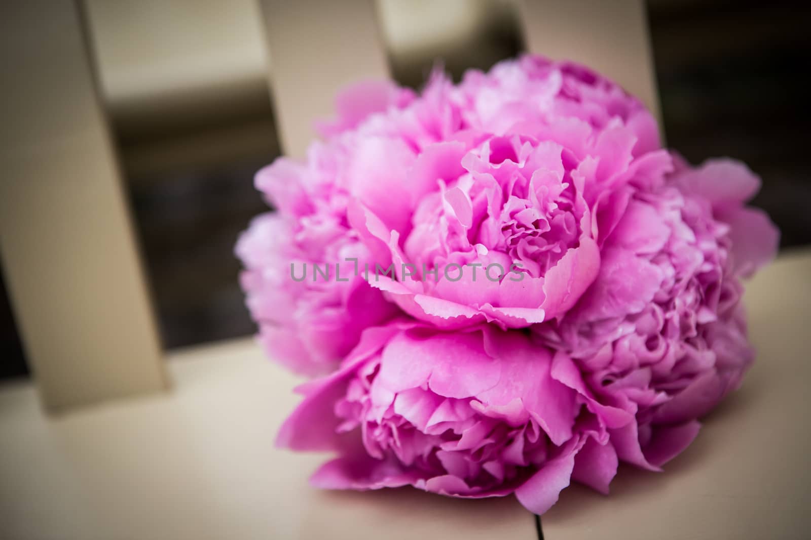 Beautiful pink bouquet sitting on a chair