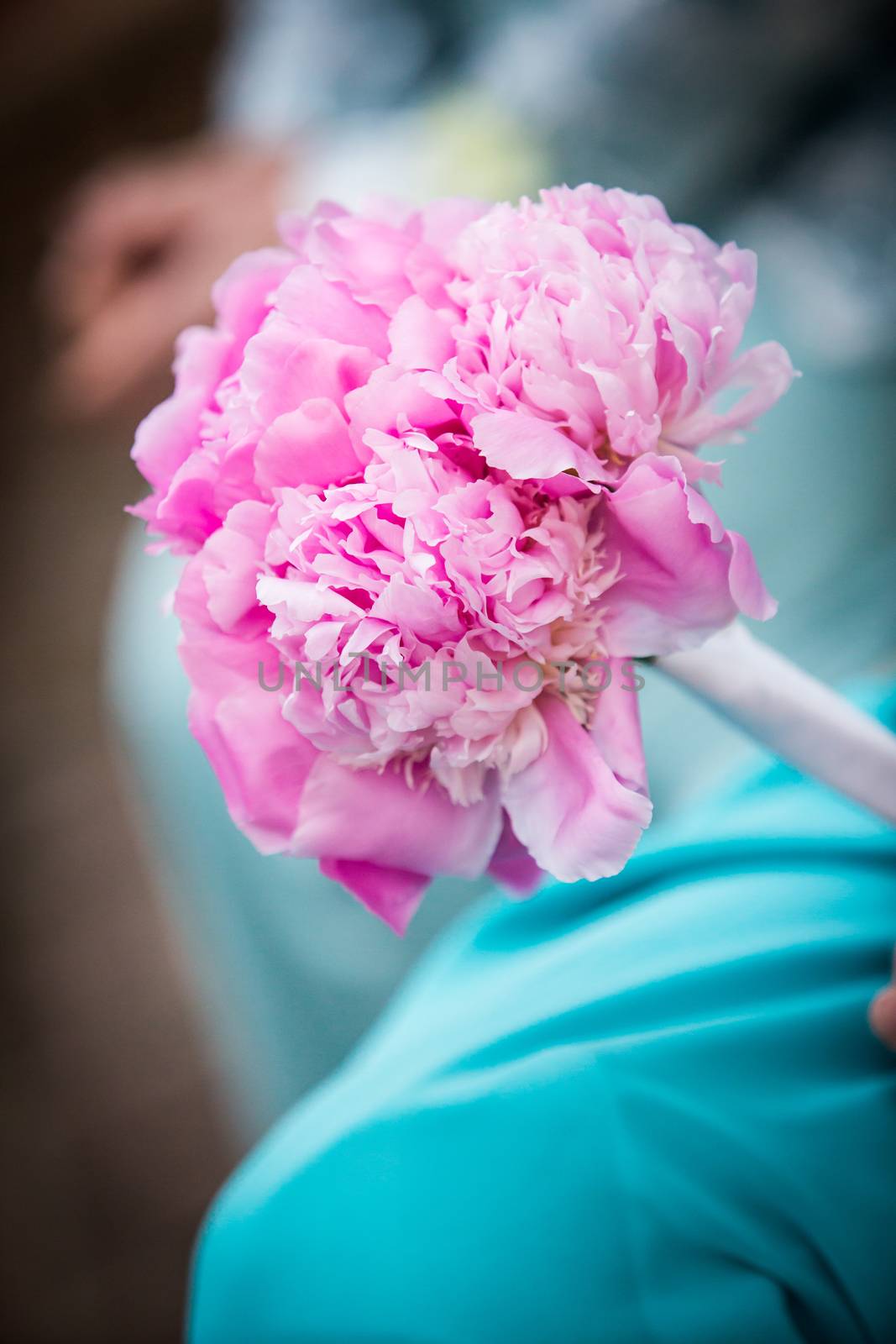 Beautiful pink bouquet held by bridesmaid.