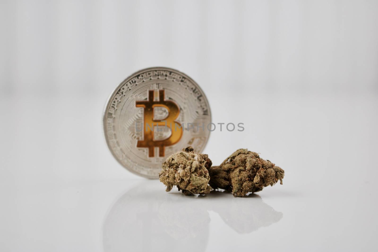 Digital currency physical yellow bitcoin coin on the table near green marijuana plants.