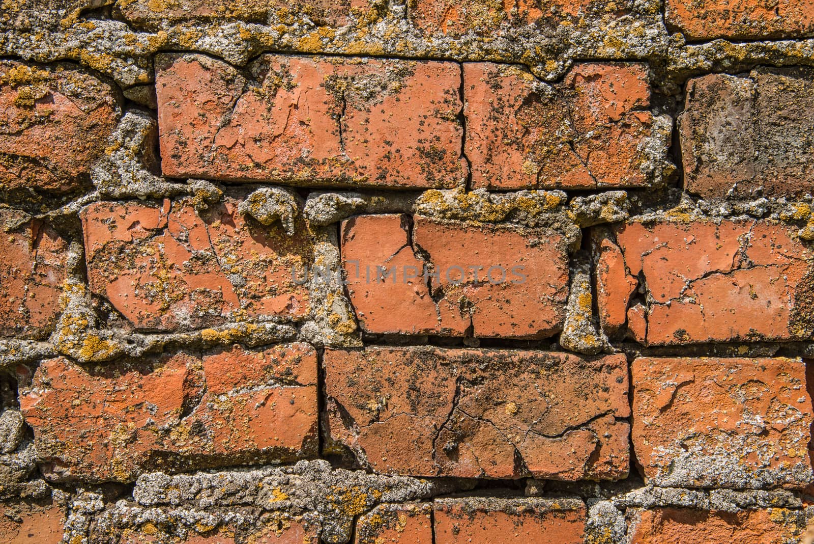 Old red brick wall texture with cracks and moss by dsmsoft