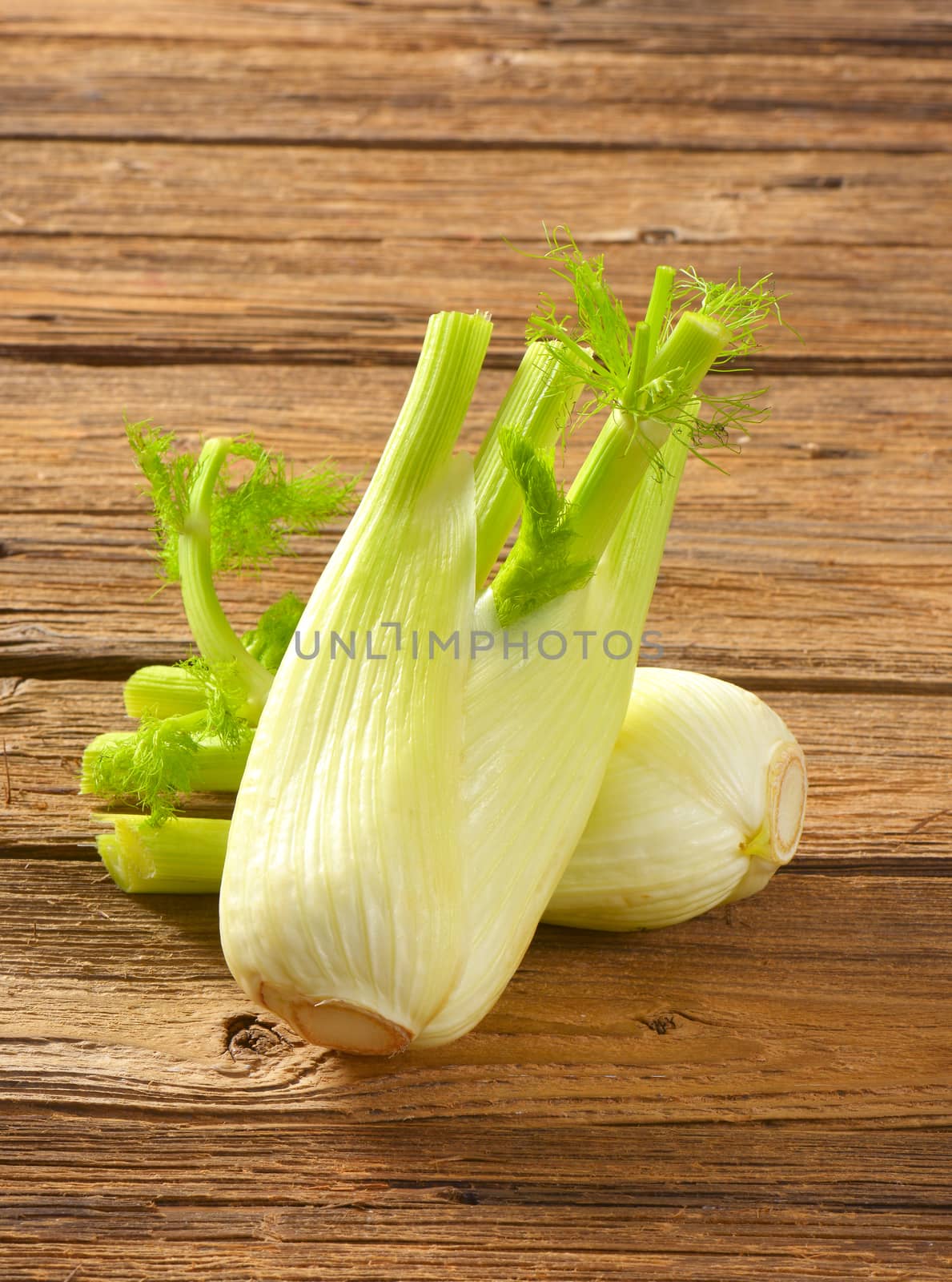bulbs of fresh fennel on wooden background
