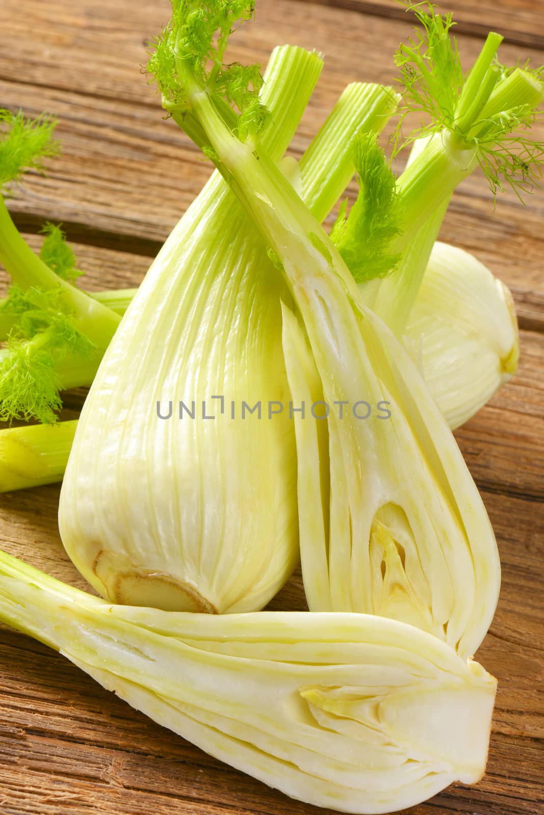 bulbs of fresh fennel by Digifoodstock