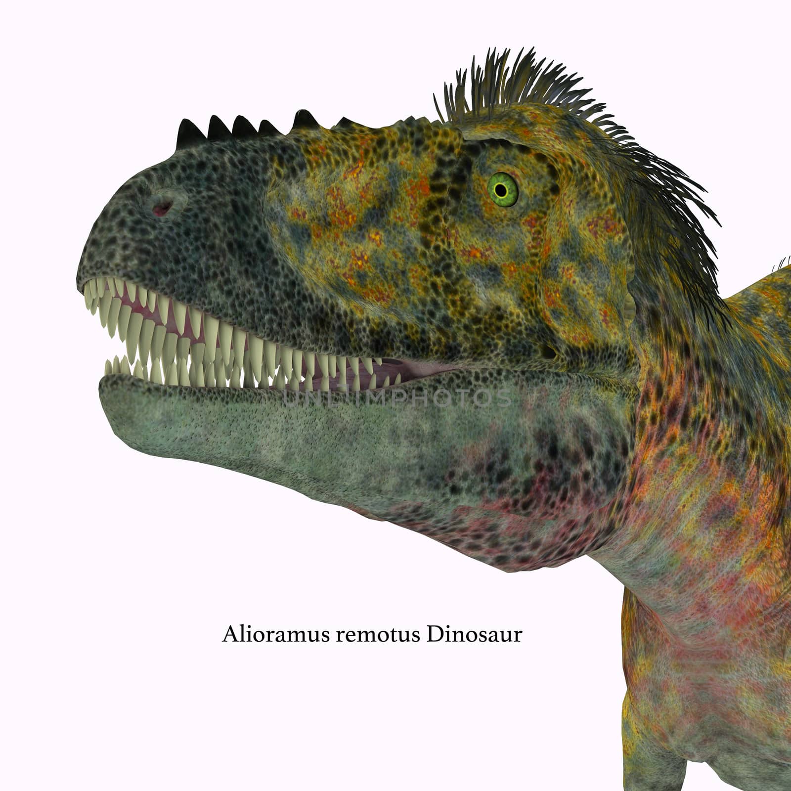 Alioramus Dinosaur Head by Catmando