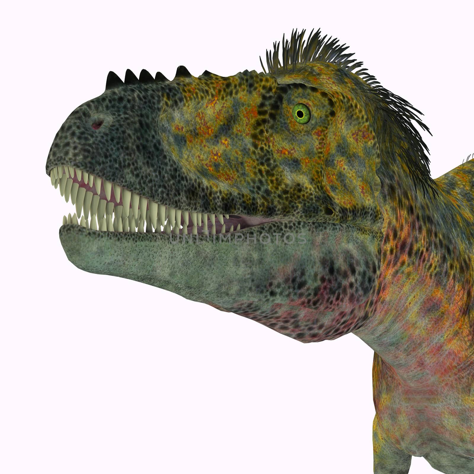 Alioramus Dinosaur Head by Catmando