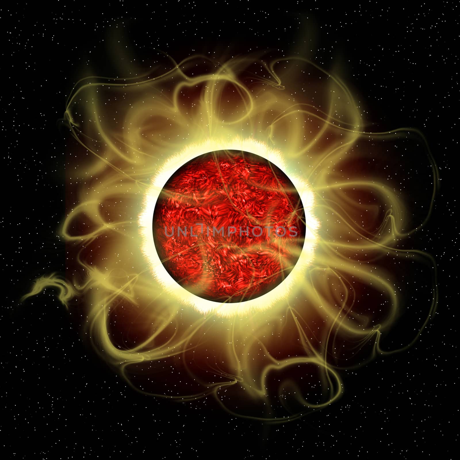 Sun's Magnetic Field by Catmando