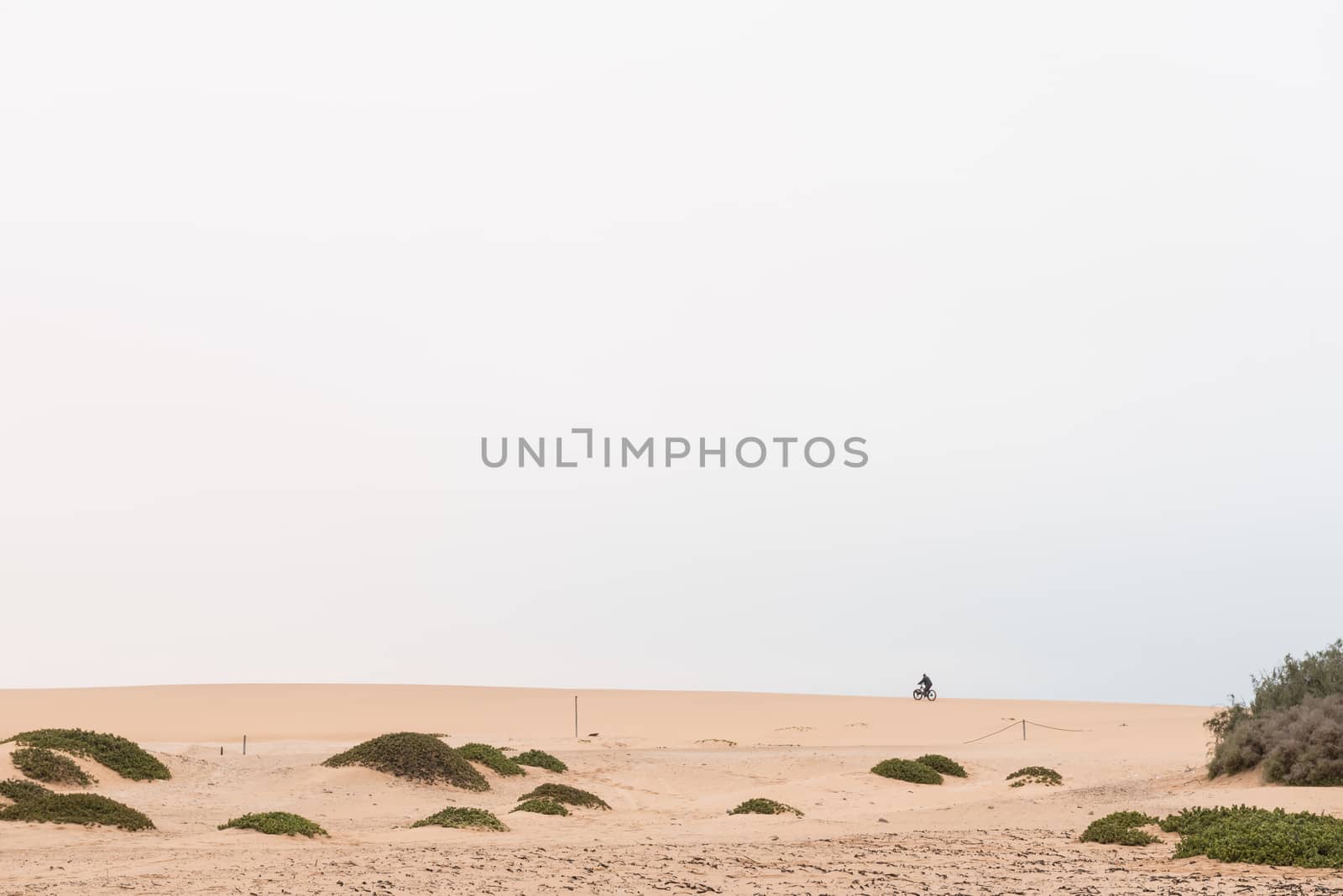A cyclist on a fatbike on a dune at Swakopmund in the Namib Desert on the Atlantic Coast of Namibia