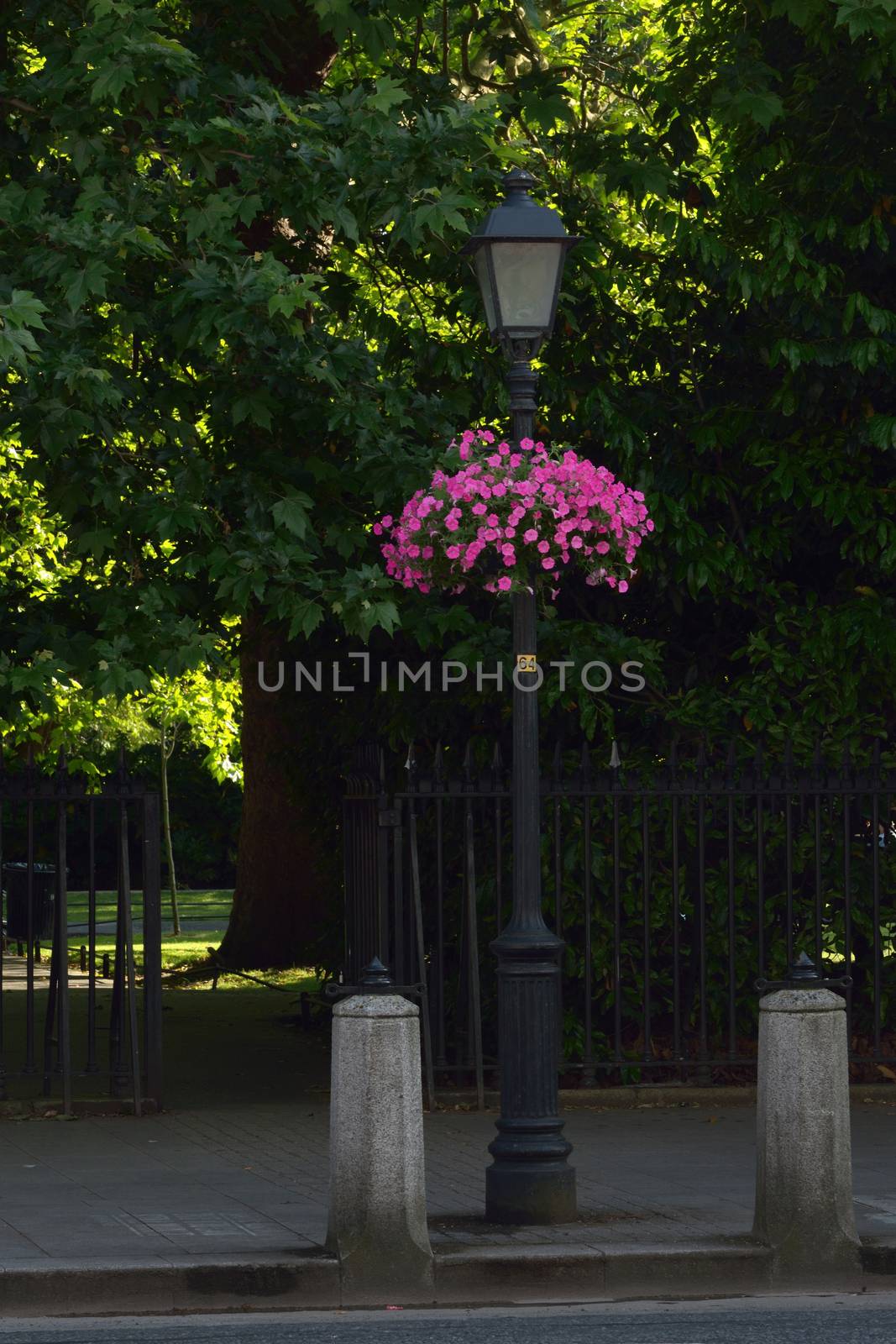 Old street lamp in Dublin, Ireland