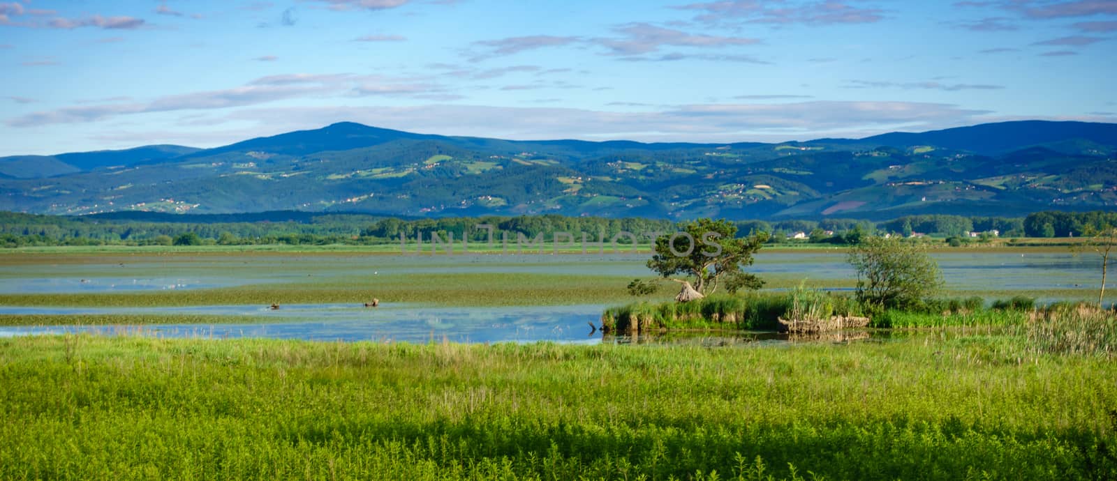 Lake landscape early in the morning with clouds by asafaric