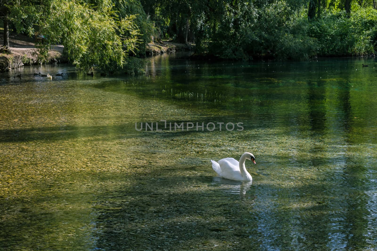 Idyllic Fonti del Clitunno landscape in Umbria by alanstix64