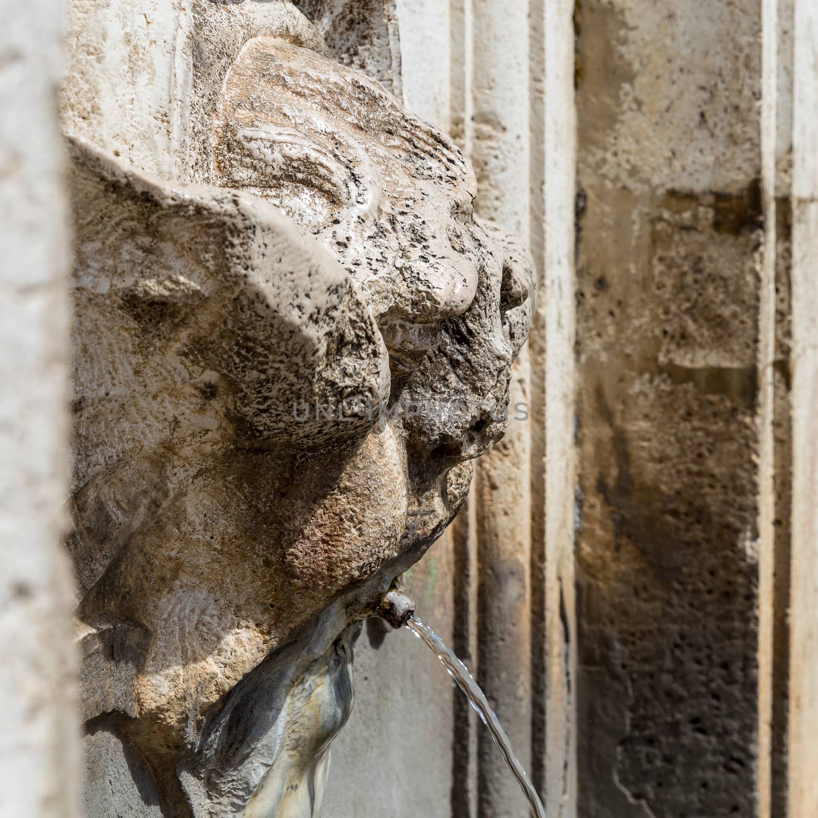 detail of an ancient fountain in Spoleto (Italy)