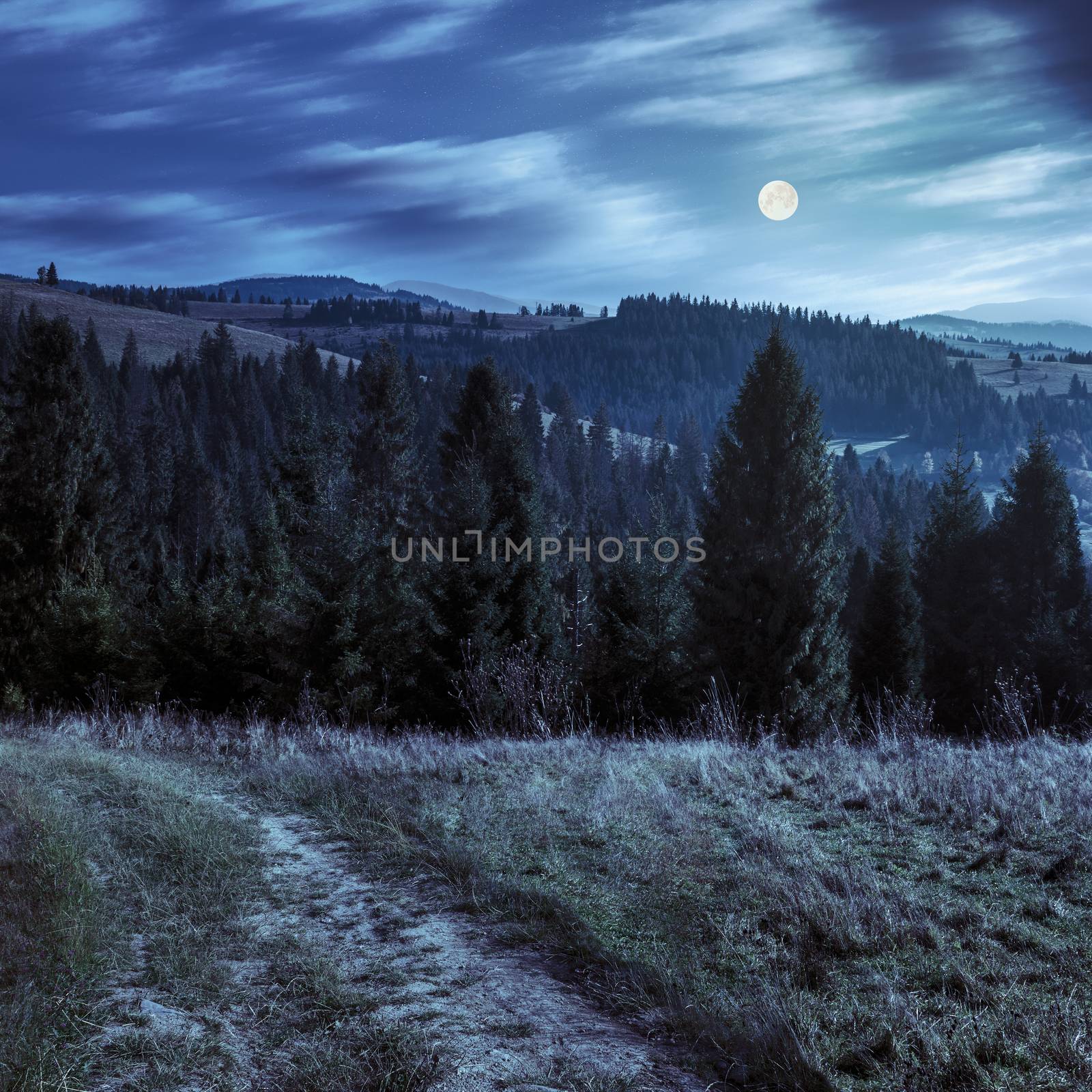 composite image of hillside of mountain range with coniferous forest and meadow path at night in full moon light