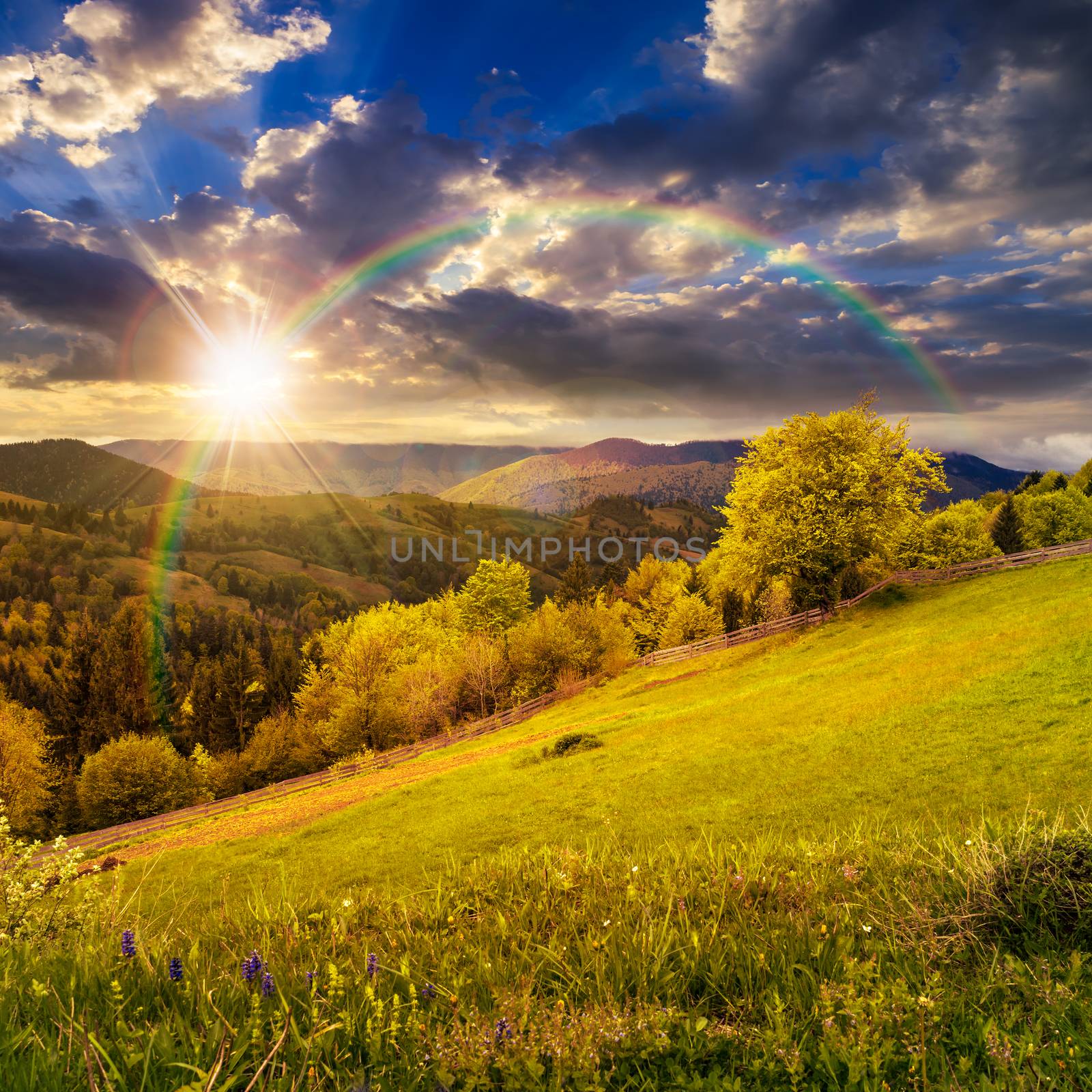 composite rural landscape. fence near the meadow and trees on the hillside. forest in fog on the mountain top in sunset light with rainbow