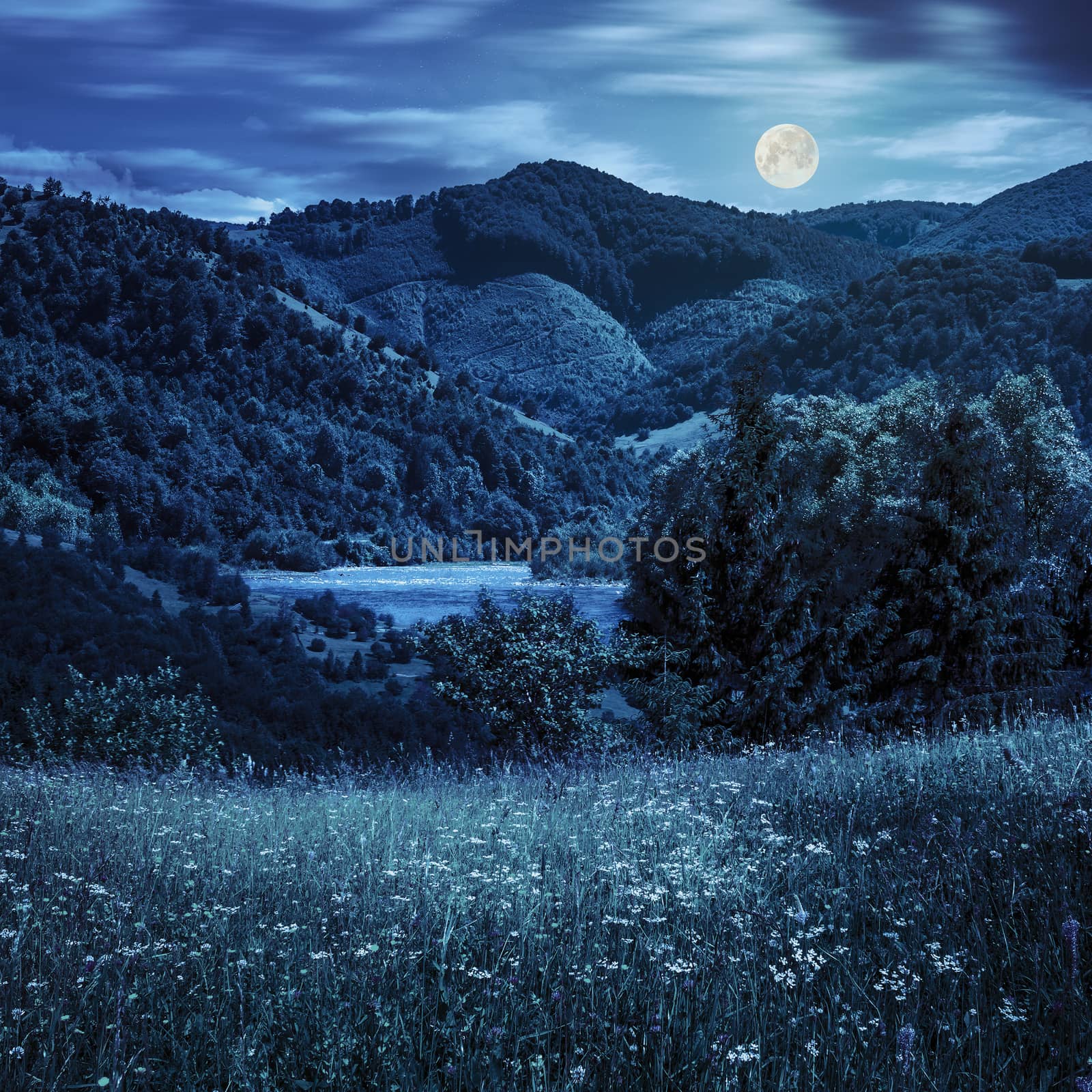 composite mountain summer landscape. pine trees on hillside meadow with wild flowers near the river in mountains at night in full moon light