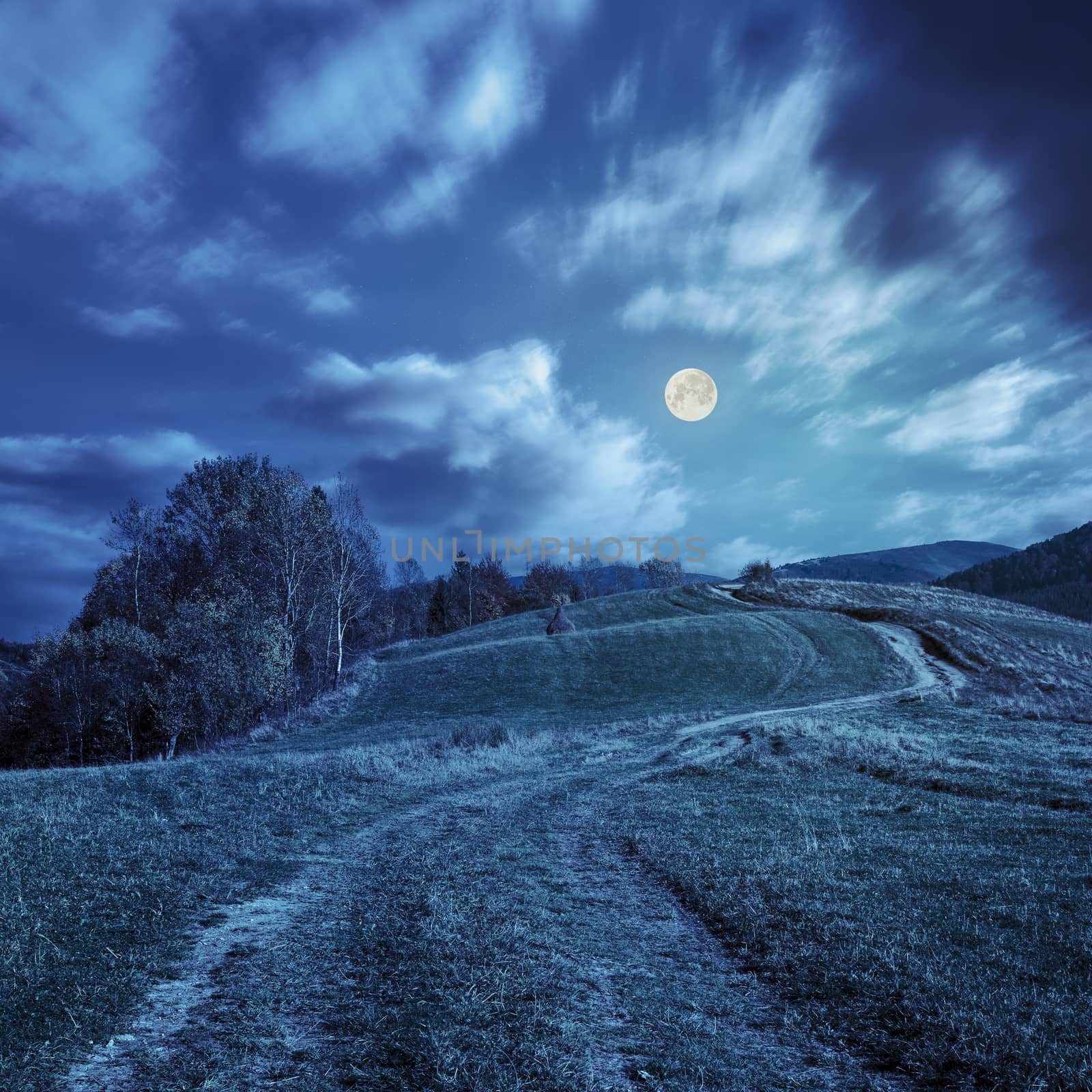 composite autumn landscape. path through the meadow on mountain top at  night in full moon light