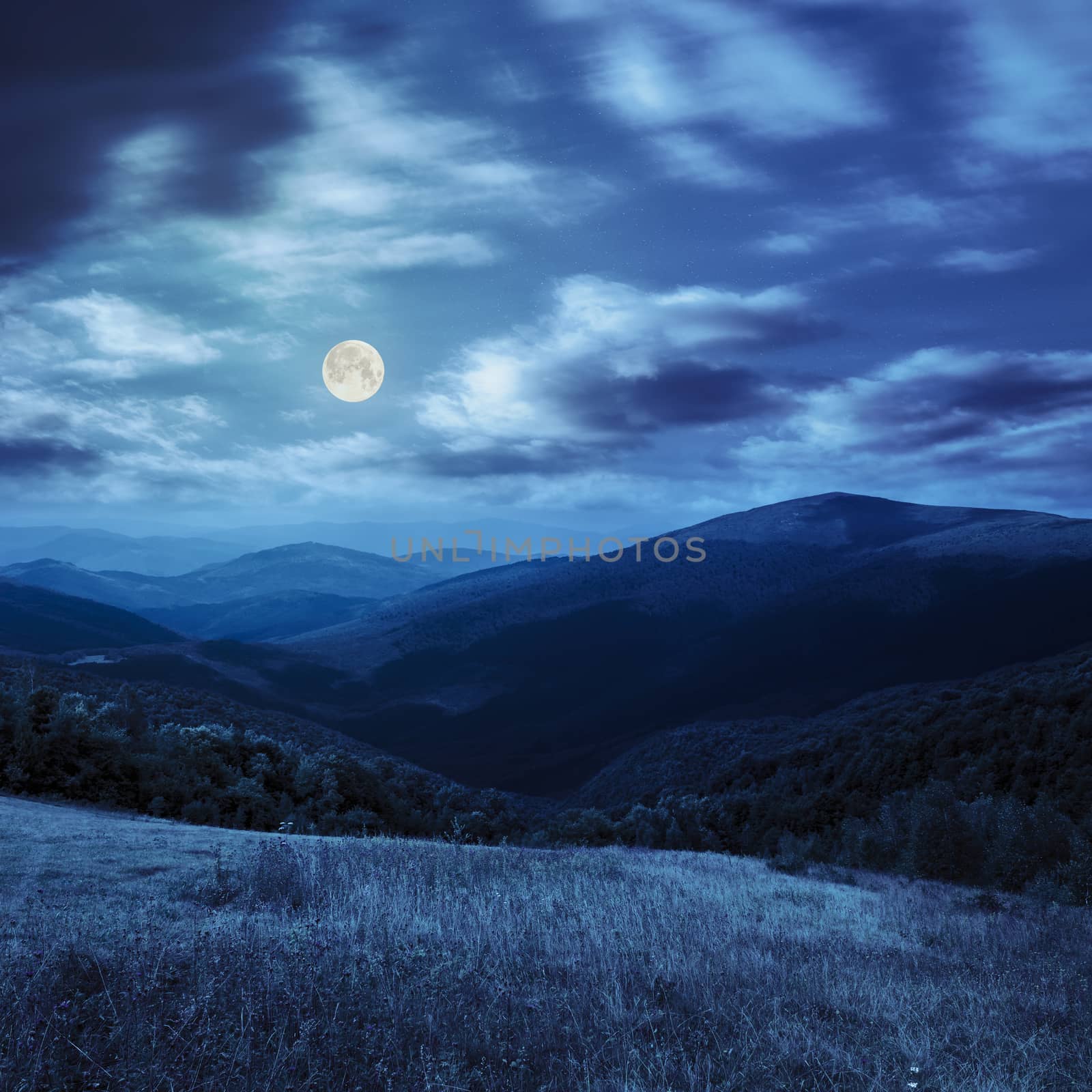 meadow in high mountains at night by Pellinni