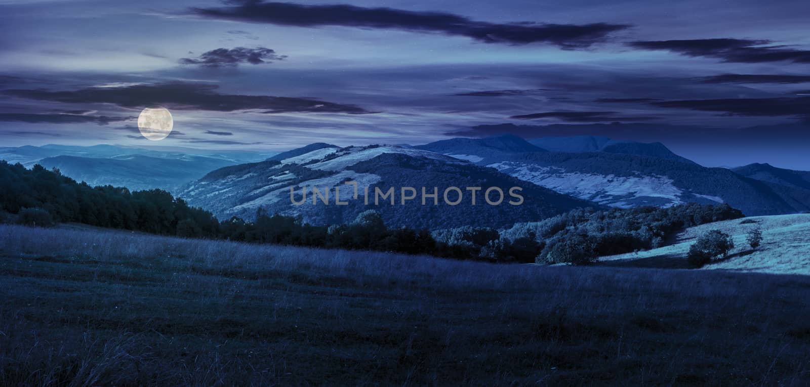 meadow in high mountains at night by Pellinni