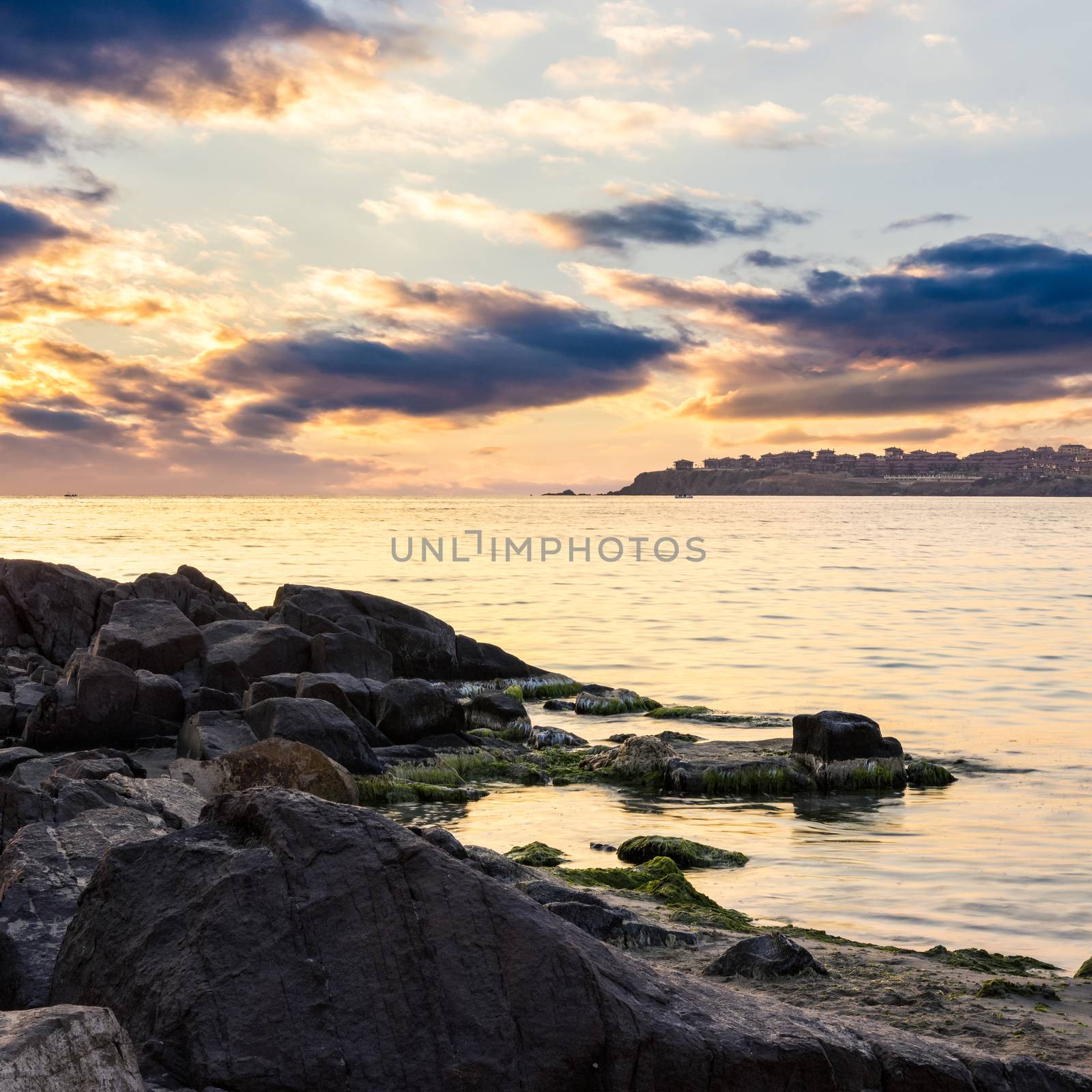 boulders with weed at sea shore in warm morning light