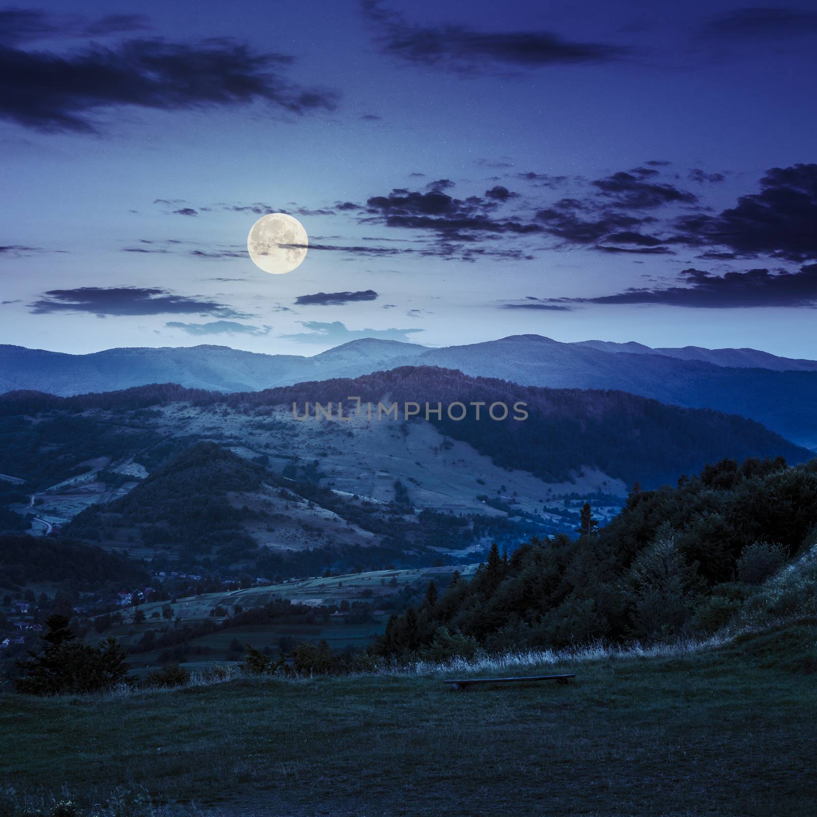 composite summer  landscape. view from hillside to village near forest in high mountains at night in full moon light