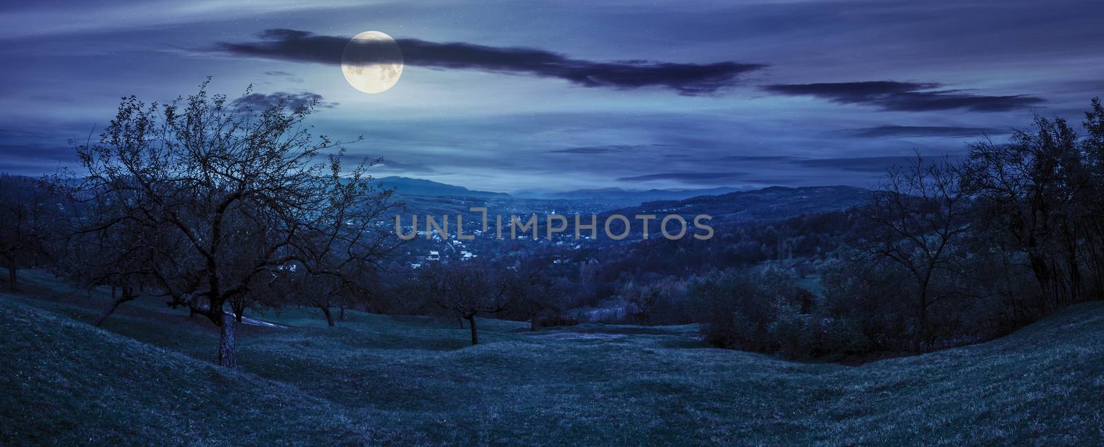 Green hillside of an apple orchard near the mountain village at night in full moon light