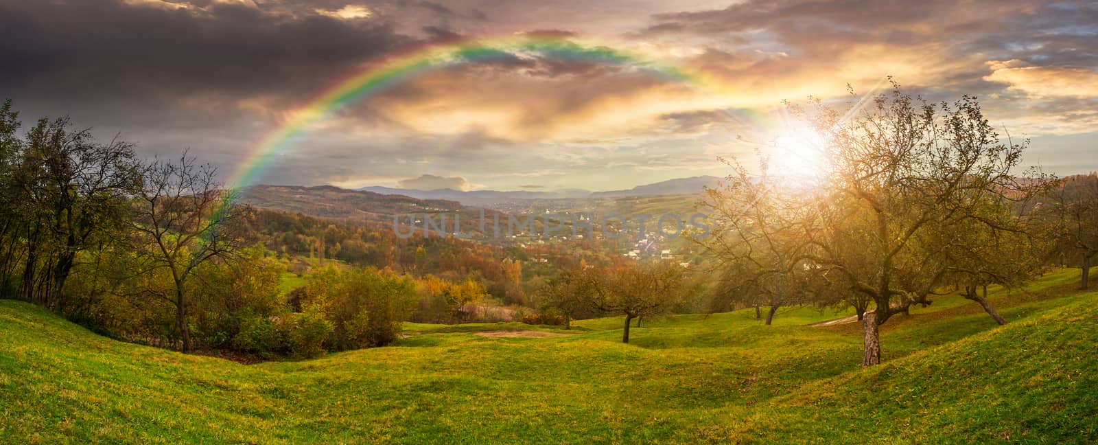 Green hillside of an apple orchard near the mountain village in sunset light with rainbow