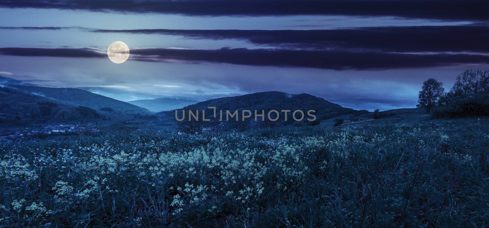 panoramic mountain summer landscape. yellow flowers on hillside meadow near village in mountains at night in full moon light