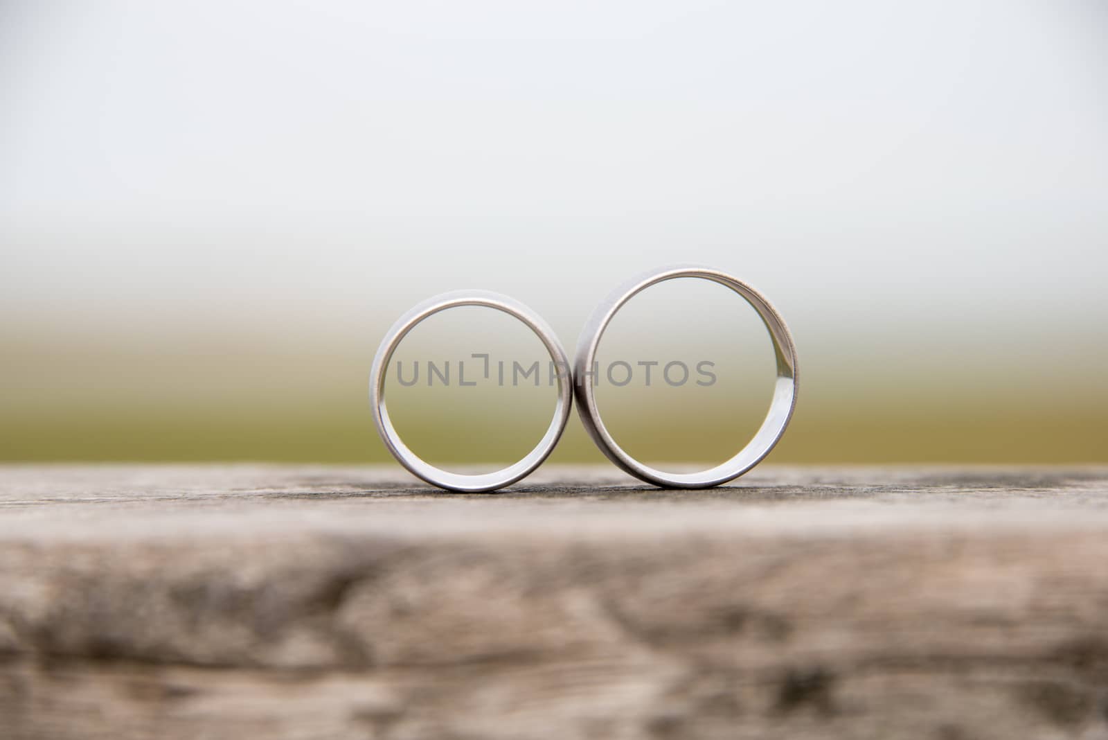 View of a pair of white golden wedding rings by Friedemeier
