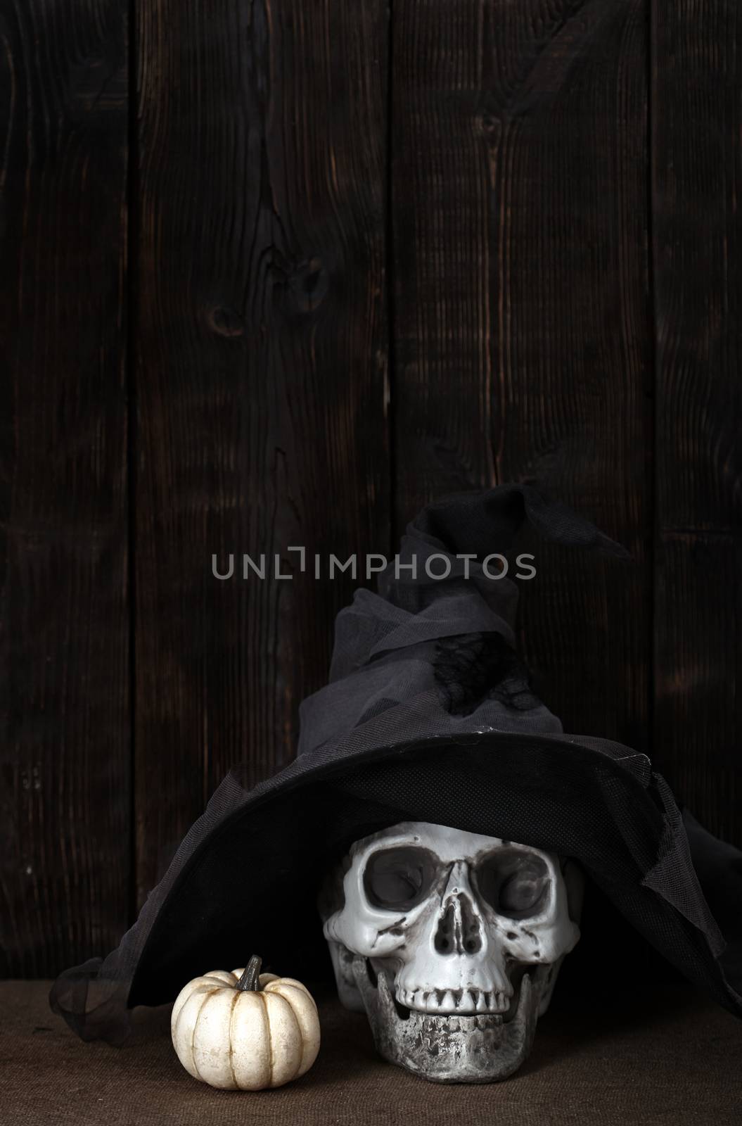 Halloween pumpkin and human skull in witch hat