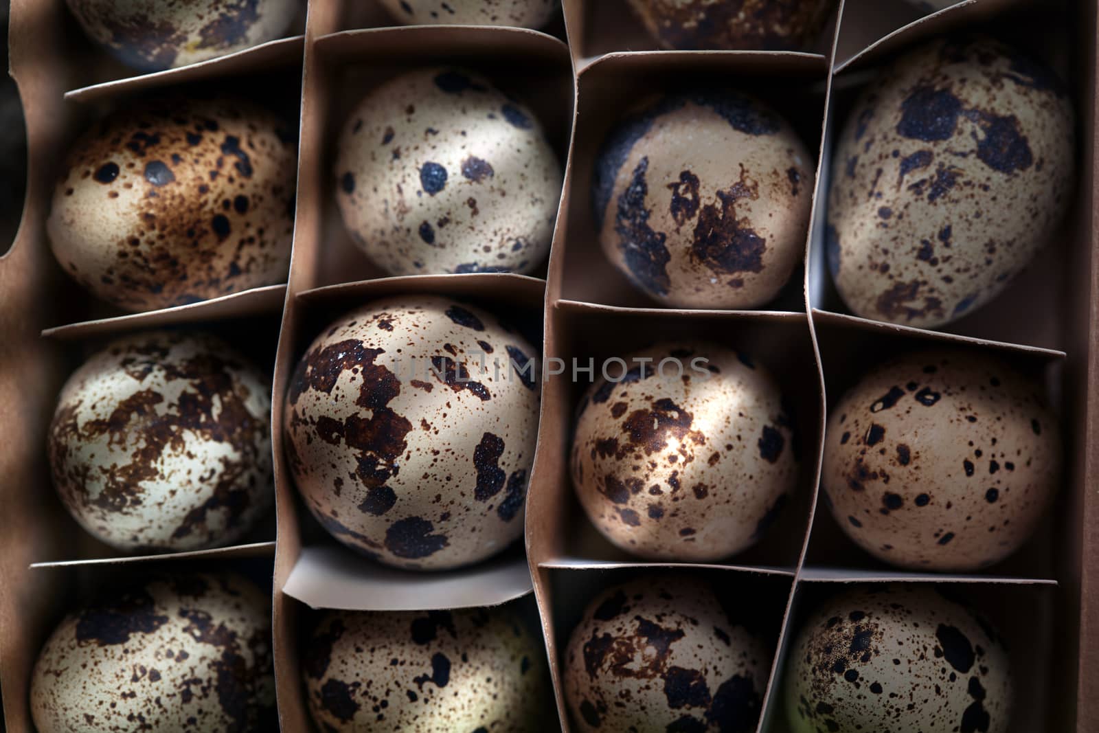 Carton box with quail eggs. View from above