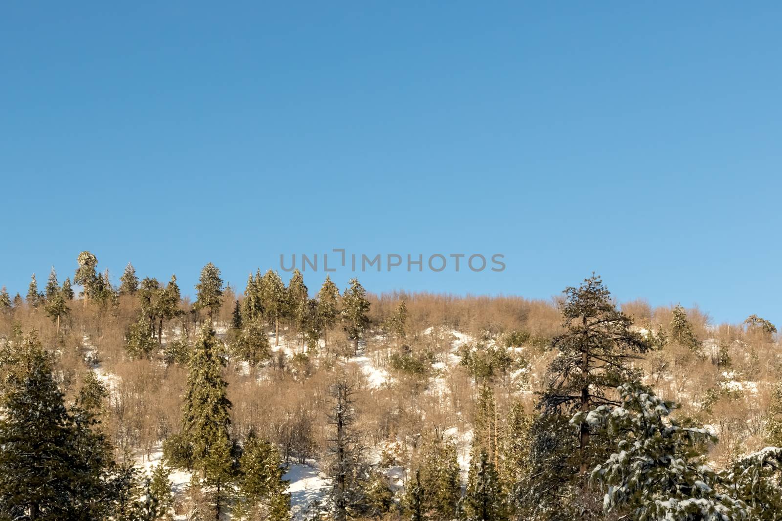 Mountain View, Climate Change at Southern California, Big Bear Mountain, San Bernardino, 2016