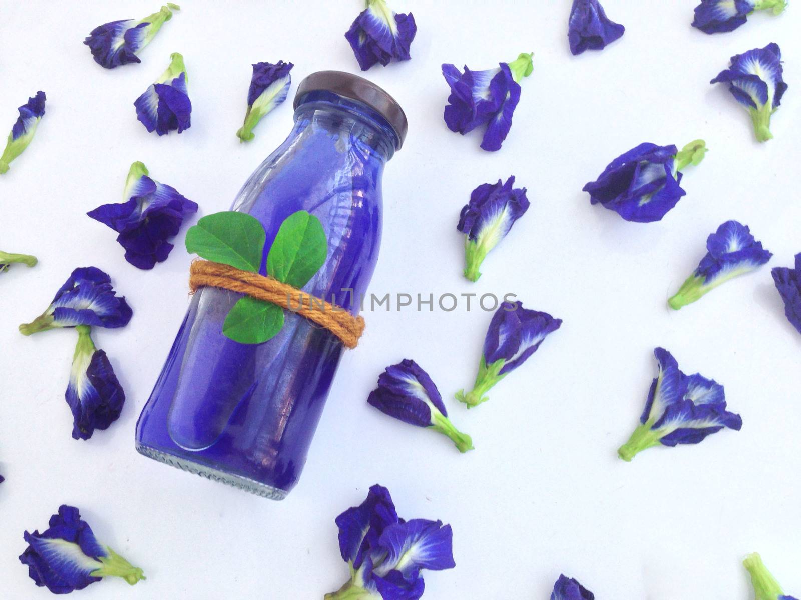 Butterfly pea water by Bowonpat