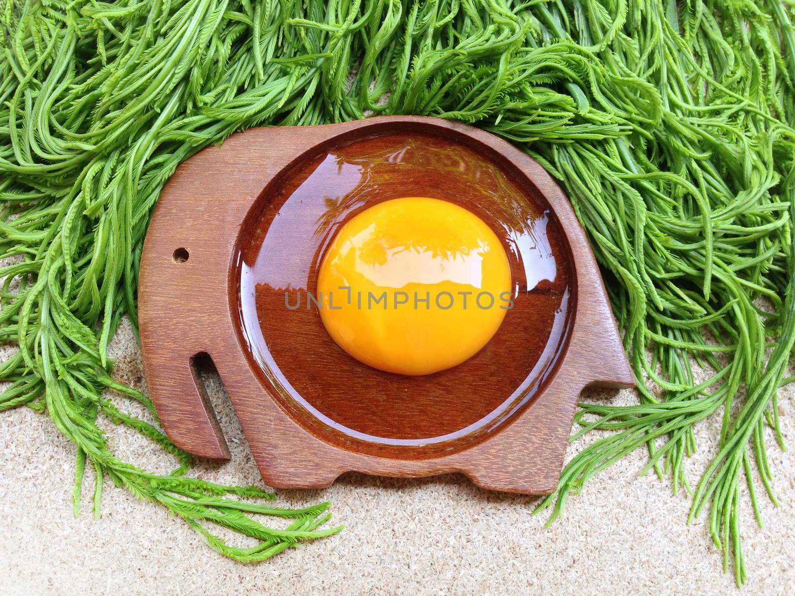 Egg yolk on wooden elephant shaped saucer with climbing wattle on plywood background