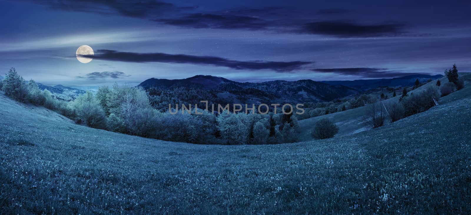 panoramic mountain summer landscape. trees near meadow and forest on hillside at night in full moon light