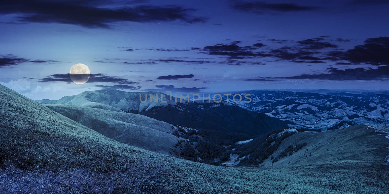 summer green meadow in mountain panorama at night by Pellinni