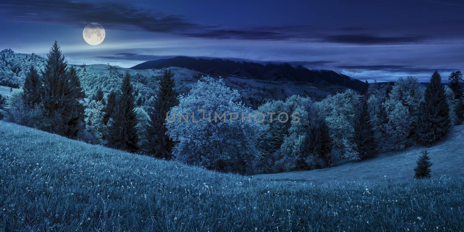 meadow with trees in mountains at night by Pellinni