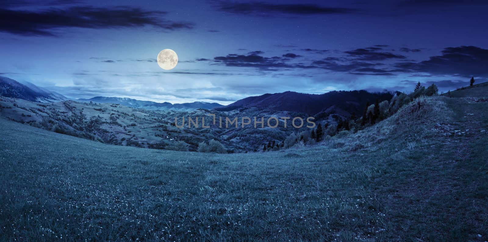 village in mountains behind the agricultural meadow with flowers on  hillside at night in full moon light