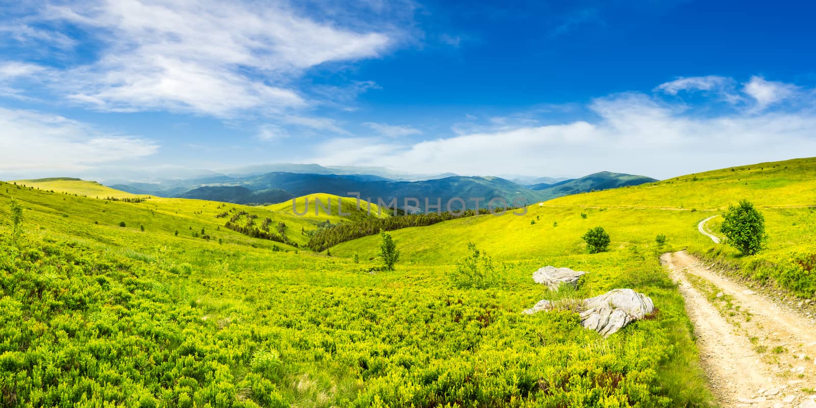 composite image of panoramic mountain landscape.  winding road on hillside meadow, few stones and trees along the road. conifer forest far away on mountains in morning light