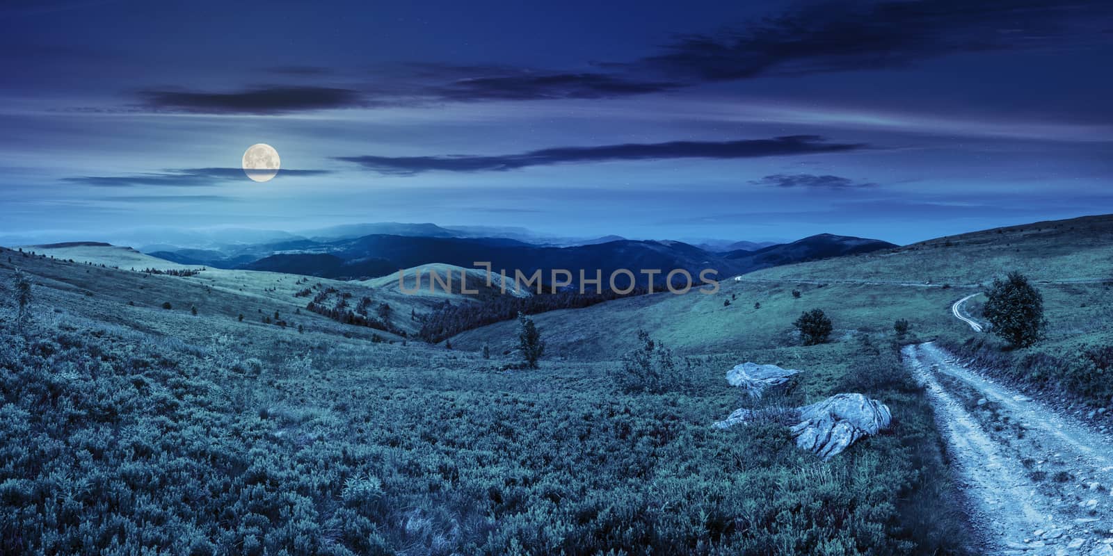 composite image of panoramic mountain landscape.  winding road on hillside meadow, few stones and trees along the road. conifer forest far away on mountains at night in full moon light