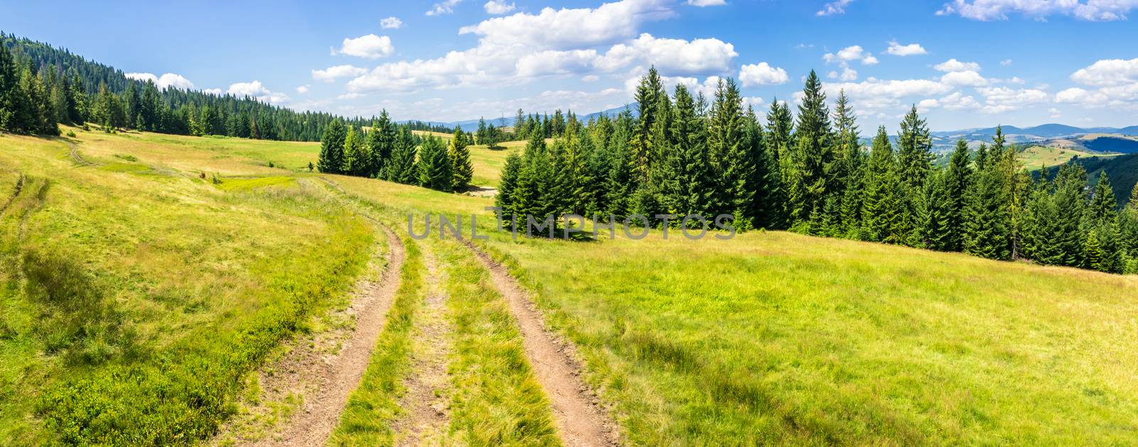 composite panoramic image mountain landscape.  curve path through the meadow on hillside near coniferous forest.