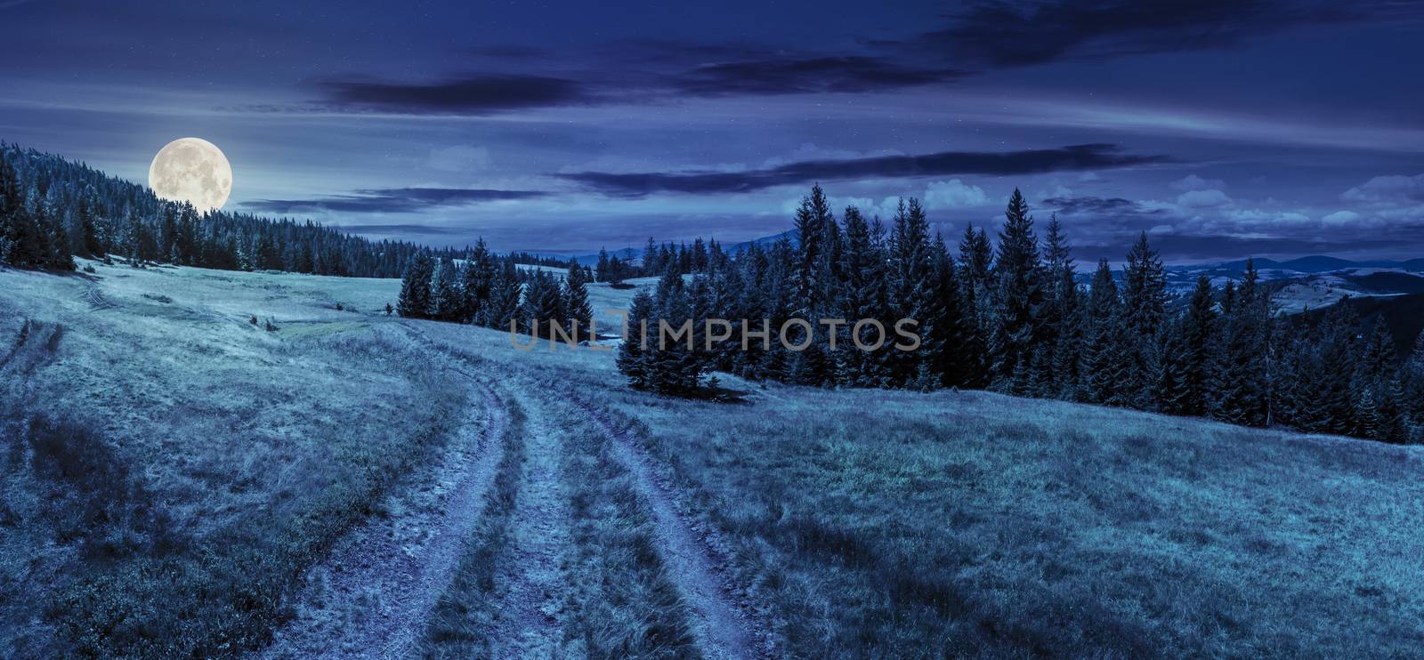 composite panoramic image mountain landscape.  curve path through the meadow on hillside near coniferous forest at night in full moon light