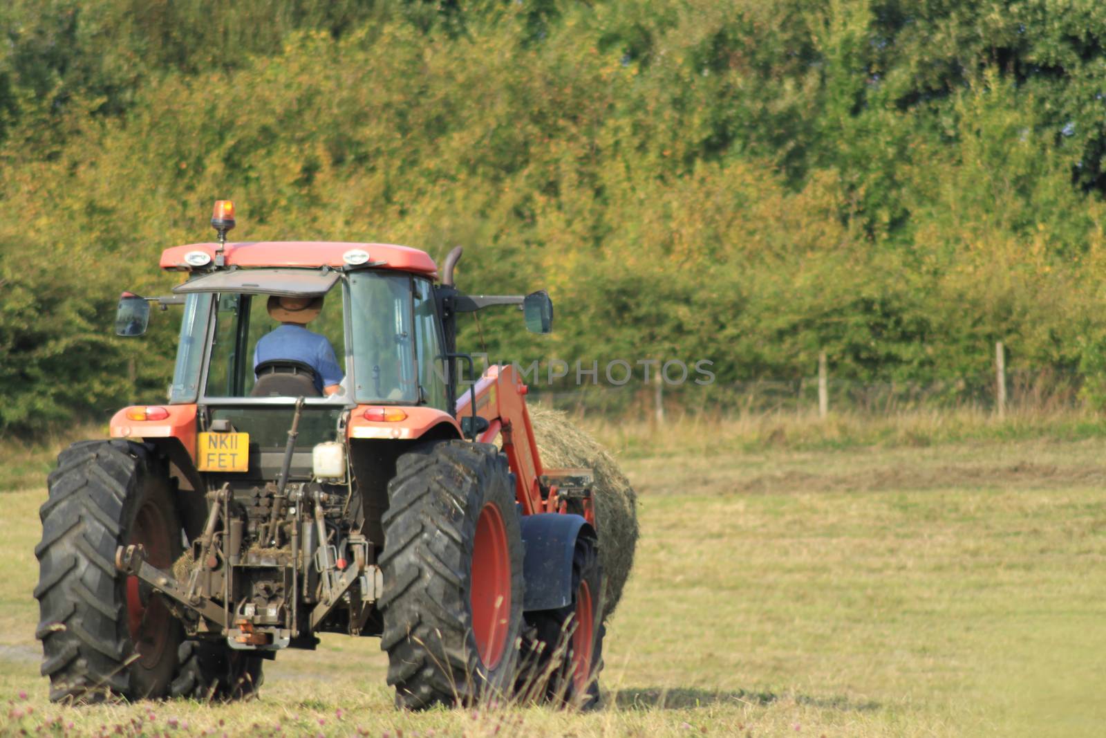 Tractor on a meadow in sunny day, rural landscape by Kasia_Lawrynowicz