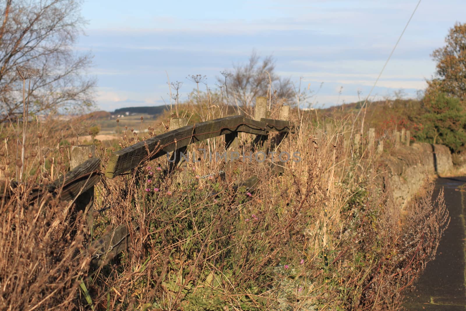 Old ruined fence on a meadow by Kasia_Lawrynowicz