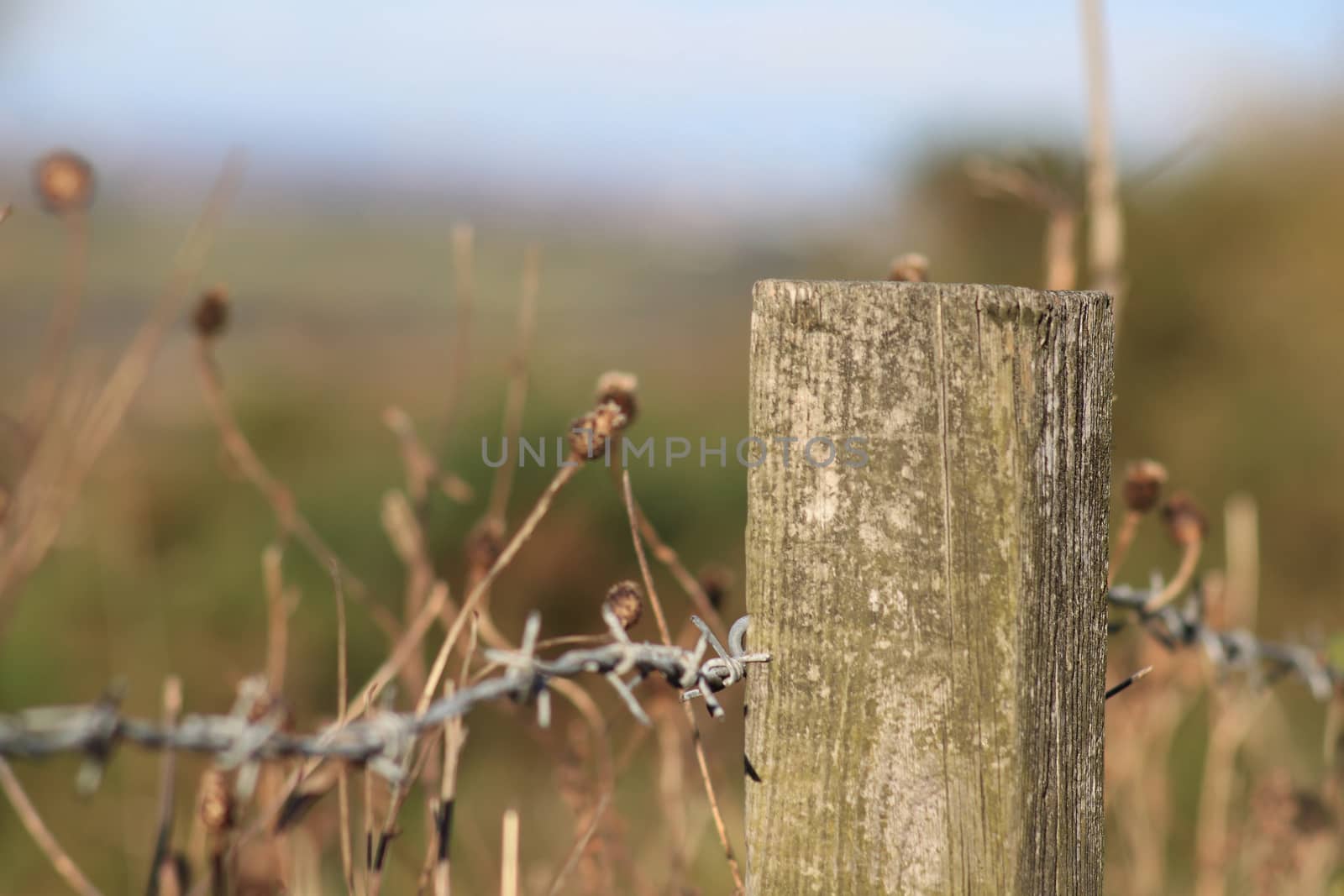 Very old wooden fence on a meadow by Kasia_Lawrynowicz