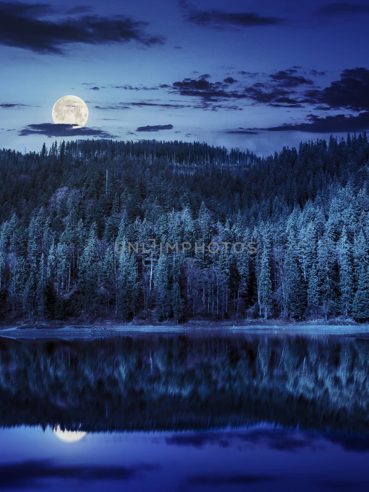 composite autumn  landscape with lake with reflection in pine forest on mountain hill at night in full moon light