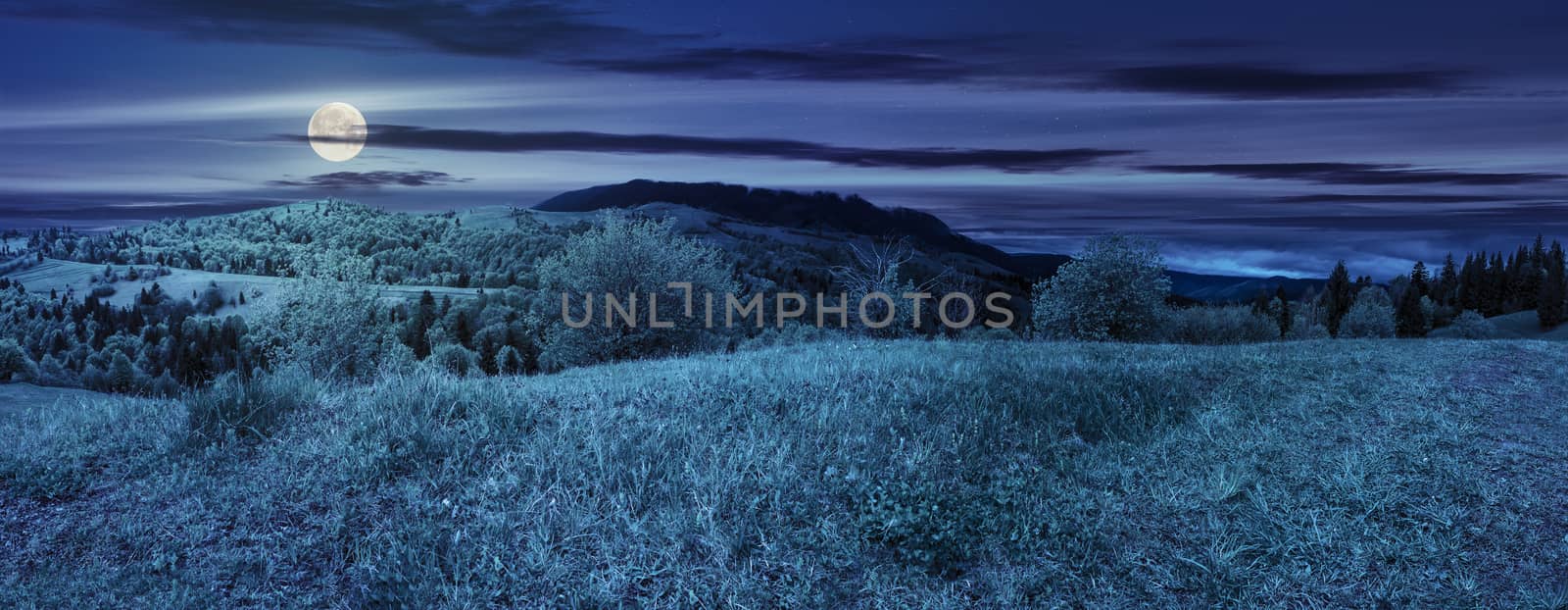 panoramic mountain landscape. green grass on meadow near mixed forest in mountains at night in full moon light