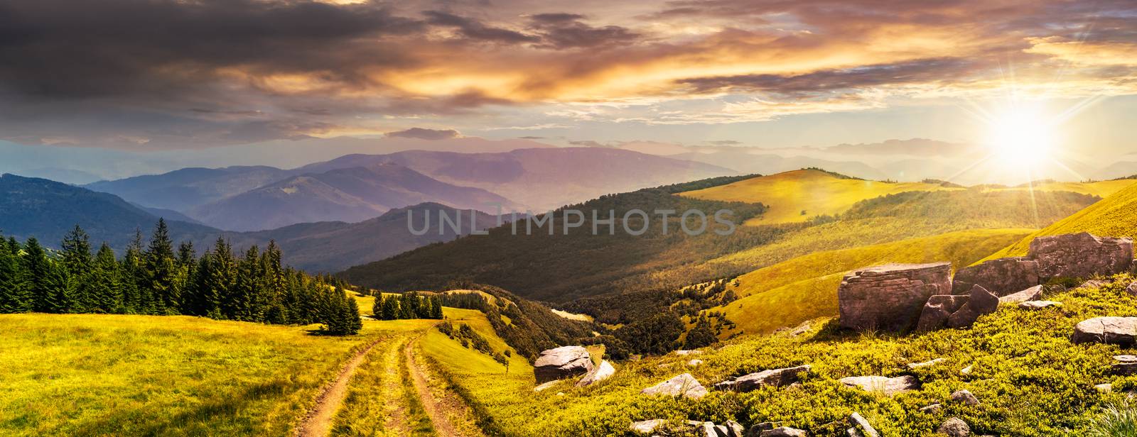 road through the meadow on hillside at sunset by Pellinni