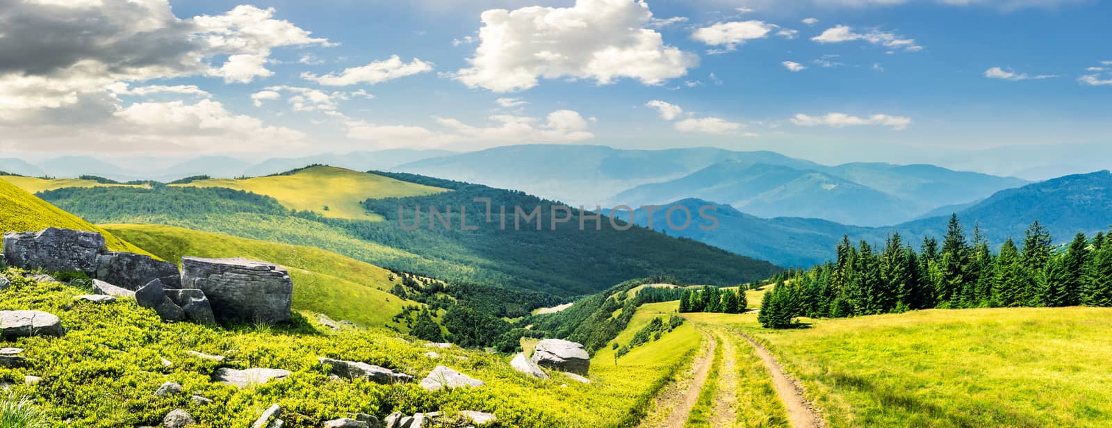 composite mountain landscape. path through meadow on mountain range with huge boulders near pine forest on hill side in morning light