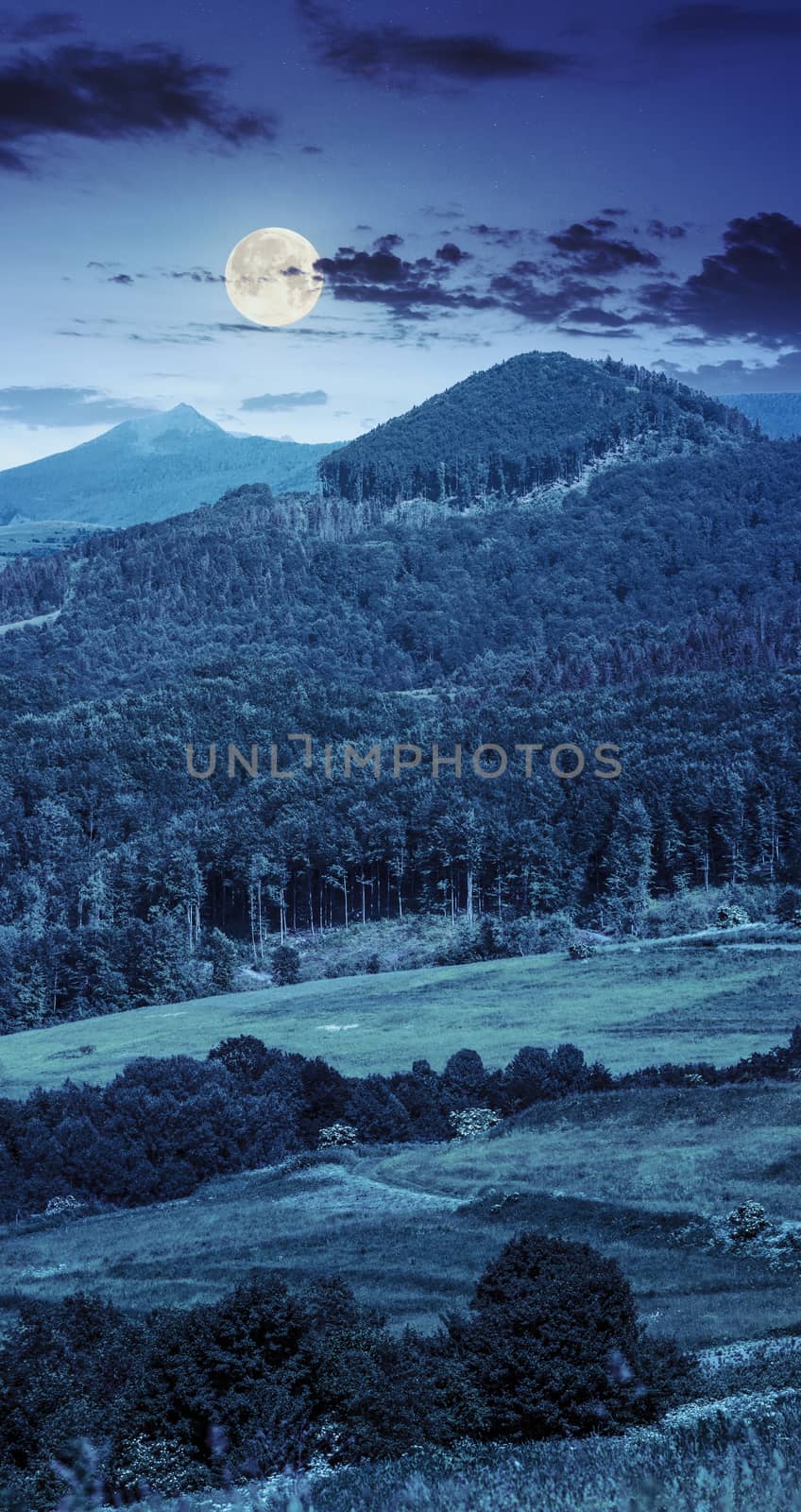 green meadow with trees in the mountainous area at night in full moon ligh