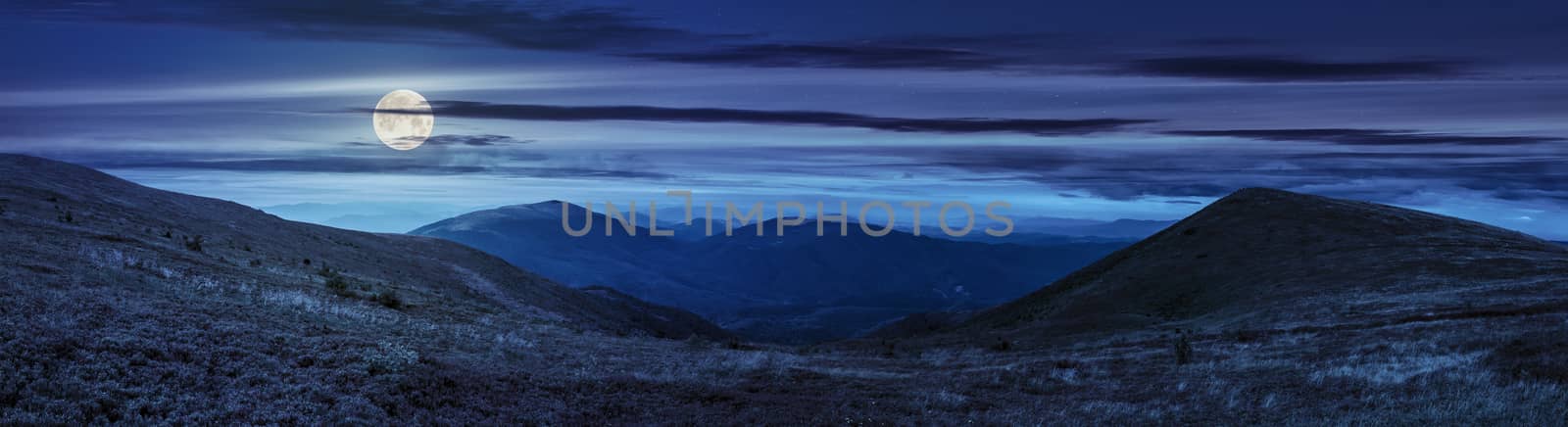 panoramic view on high mountains from hillside covered with grass with few stones at night in full moon light