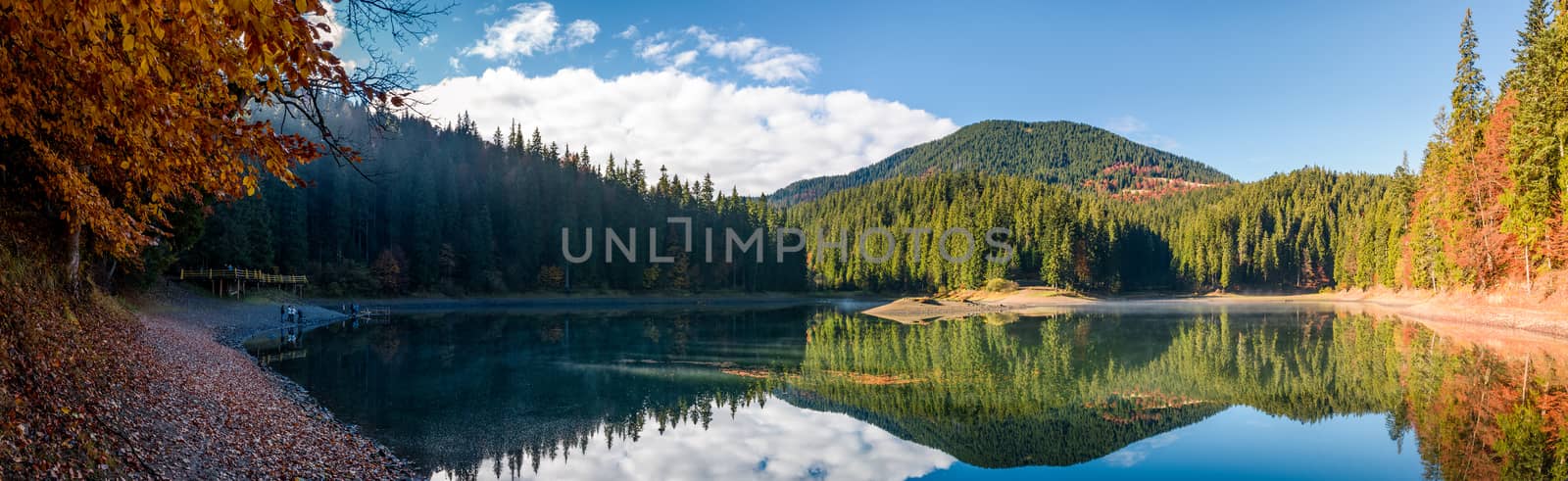 stunning panorama of mountain lake in autumn. Beautiful Scenery of high altitude Synevyr Lake among spruce forest, the most visited landmark in Ukrainian Carpathians.