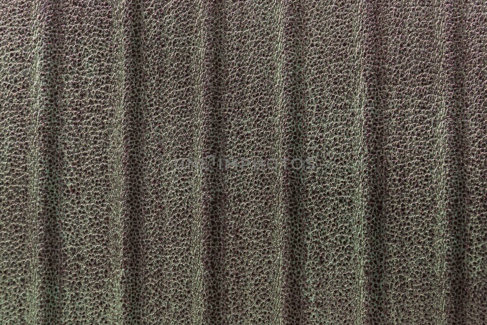 texture of the skin in green, studio, subject survey